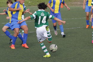 米兰体育-中国足球高密度传控战术回合成功统计，中国足球高密度传控战术回合成功统计