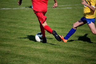 米兰全站app登录app-篮球训练计划科学制定与执行效果评估，篮球训练计划制定与范例